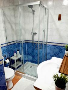 a bathroom with a glass shower with a toilet at Alhambra Catedral Centro in Granada