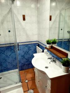 a bathroom with a sink and a shower at Alhambra Catedral Centro in Granada +15 photos