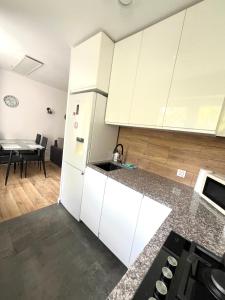 Kuchyň nebo kuchyňský kout v ubytování Apartament Gallusa