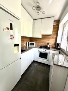 Kuchyň nebo kuchyňský kout v ubytování Apartament Gallusa