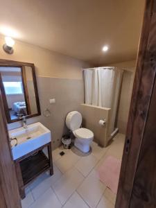 a bathroom with a toilet and a sink and a mirror at Baguales Alojamientos Patagonicos in Villa La Angostura
