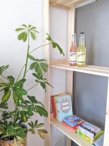 a shelf with two bottles of beer and a plant at Apartament Jabłko-Mięta w Tymbarku in Tymbark +6 photos