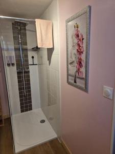 a bathroom with a shower with a picture on the wall at Appartement Autun in Autun
