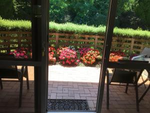 a window view of a garden with flowers at Bethlehem Garden Retreat in Tauranga +3 photos