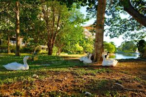 Natural landscape malapit sa apartment