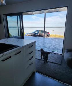 Domácí mazlíčci ubytovaní s hosty v ubytování Romantic Countryside Lakeview, 1 hour ex Auckland