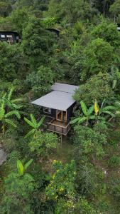 Aed väljaspool majutusasutust Hotel La Palma y El Tucán - Café y Naturaleza