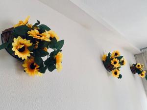 Fotografie z fotogalerie ubytování Apartamentos Ruz v destinaci Córdoba