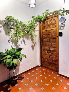 Fotografie z fotogalerie ubytování Apartamentos Ruz v destinaci Córdoba