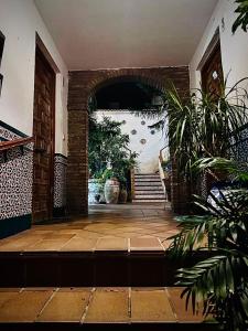 Zahrada ubytování Apartamentos Ruz