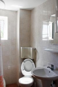 a bathroom with a white toilet and a sink at Vila Bucura 19 A in Venus