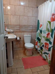 a bathroom with a toilet and a sink and a shower curtain at Casa Lago Ranco in Lago Ranco