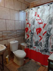 a bathroom with a toilet and a shower curtain at Casa Lago Ranco in Lago Ranco +16 photos