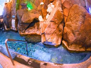 a pool of water with some rocks in it at Takasago Onsen in Asahikawa