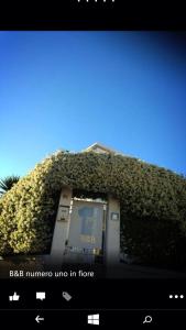 a building covered in a hedge with a machine at B&B Numero Uno in Bisceglie