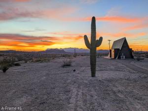 a cactus in the middle of the desert with a sunset at Stardust Big Bend Luxury A-Frame#1 with a fab view in Terlingua