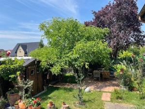 een tuin met bomen en planten in een tuin bij Seeadler - Ferienwohnung in Marienfelde
