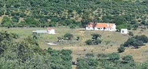 una casa in cima a una collina in un campo di House near Elvas on Olive Farm a Monte do Falcato