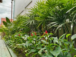 a garden with red flowers and green plants at Aphilapa Residence in Chiang Mai +84 photos