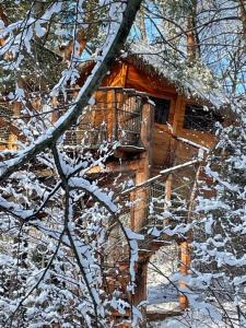 Fotografie z fotogalerie ubytování Treehouse Stvořidla v destinaci Světlá nad Sázavou