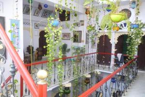 a staircase with lots of plants on the wall at Nukkad Guest House Near Lake Pichola in Udaipur