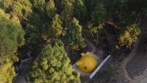 Foto dalla galleria di Shiv Forest Villas a Pauri