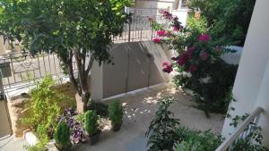 Zahrada ubytování Comfortable Apartment Close to the Airport