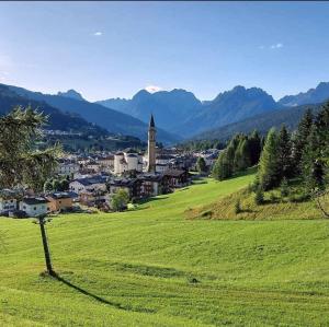 a small town in a green field with a church at AJARNOLA N14 in Padola