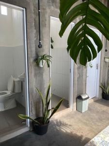 a bathroom with a toilet and a potted plant at Banana Homestay in Banyuwangi
