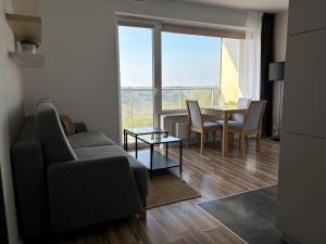 a living room with a couch and a table and a window at Apartament z widokiem in Białystok