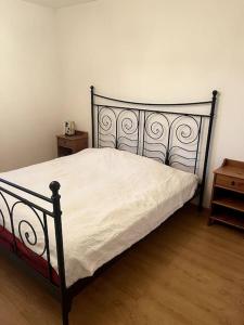 a bedroom with a bed with a metal frame at Vila Rosu in Pucioasa