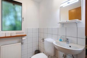 un bagno con un water, un lavandino e uno specchio di Ferienwohnung Fellagrün a Unterbierbronnen Altre 18 foto