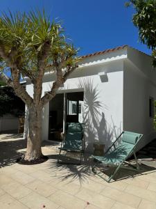 zwei Stühle und ein Baum vor einem Haus in der Unterkunft Magnífico Timón 8 in Pasito Blanco