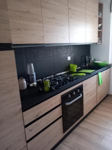Kuchyň nebo kuchyňský kout v ubytování Luxury Garden Flat