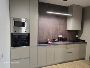 奥西耶克Apartman FIŠBAH 6 self CHECK-IN, FREE PRIVATE PARKING的配有水槽和微波炉的厨房