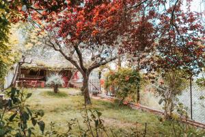 Taman di luar Ostello Bello Assisi Bevagna