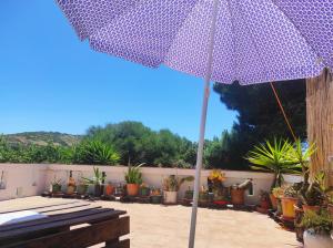 a purple umbrella on a patio with potted plants at Casa da Cabana in Budens