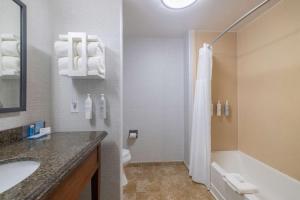 Koupelna v ubytování Hampton Inn & Suites Brenham