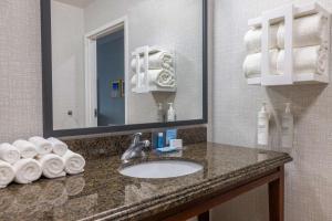 Koupelna v ubytování Hampton Inn & Suites Brenham