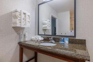 Koupelna v ubytování Hampton Inn & Suites Brenham