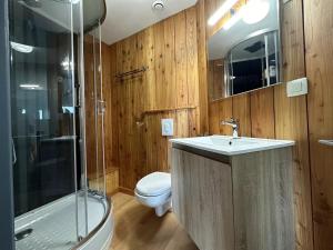a bathroom with a sink and a toilet and a shower at Au Charme de Durbuy in Durbuy