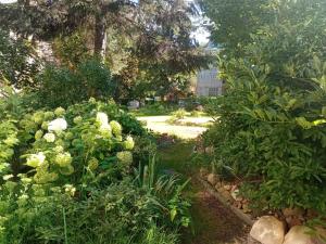 Zahrada ubytování Słoneczny pokój na Kossaka + 4 fotografie