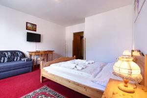 TV a/nebo společenská místnost v ubytování Hotel Stara Skola