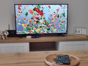 TV o dispositivi per l'intrattenimento presso Friendly Guest House