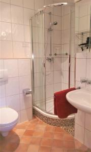 ein Badezimmer mit Dusche, Toilette und Waschbecken in der Unterkunft Zeesenhaus 06 in Ostseebad Sellin