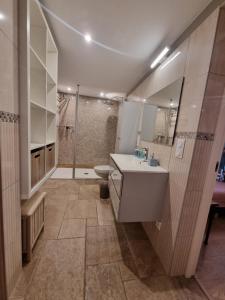 a bathroom with a shower and a sink and a toilet at Les Chambres d'Anna in Royer
