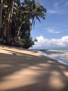 a beach with palm trees and the ocean at Kubo ni Apple in Tagbina +2 photos
