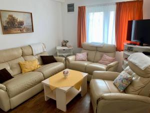 a living room with couches and a coffee table at Sára Vendégház Buzsák in Csisztapuszta