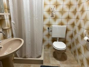 a bathroom with a white toilet and a sink at Apartman Terrazza in Sumartin