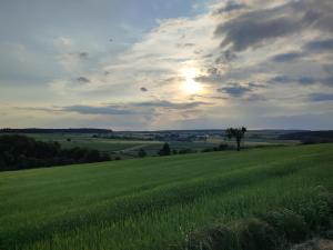 a field of green grass with the sun in the sky at Kzwei in Ruppertshofen